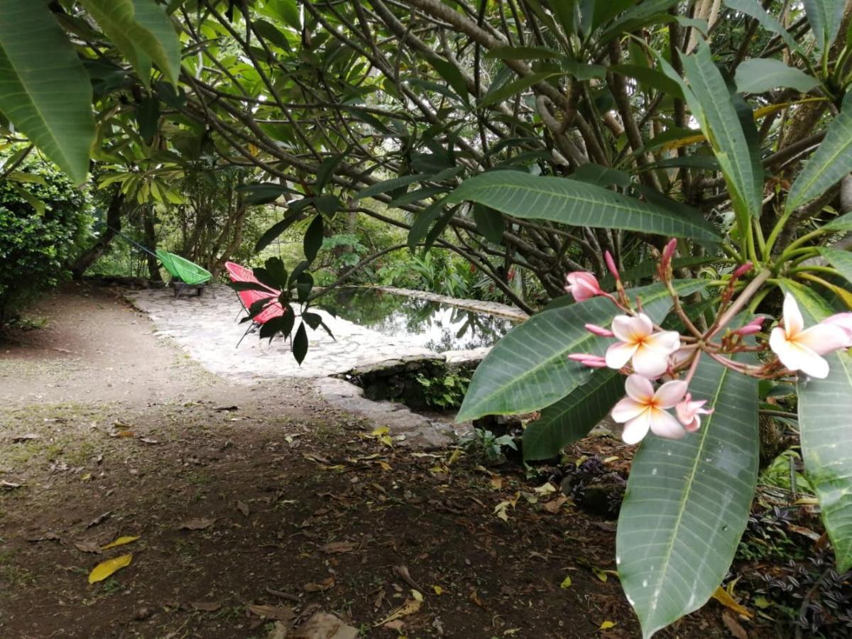 Curubande Casa Rural Aroma De Campo المظهر الخارجي الصورة