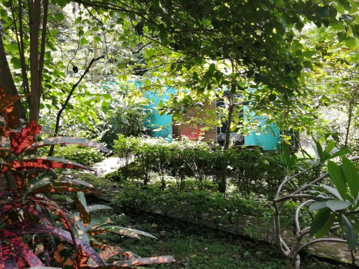 Curubande Casa Rural Aroma De Campo المظهر الخارجي الصورة