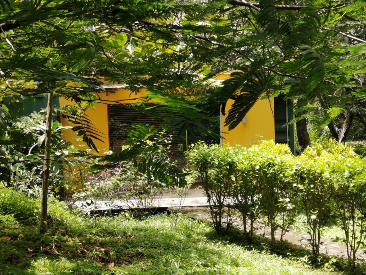 Curubande Casa Rural Aroma De Campo المظهر الخارجي الصورة