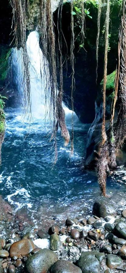 Curubande Casa Rural Aroma De Campo المظهر الخارجي الصورة